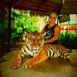 Allan, 65 (31 , 0 )