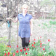 Наталья, 62 (1 фото, 0 видео)